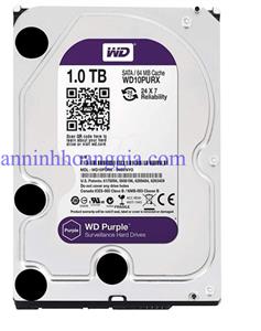 Ổ cứng HDD western 1TB