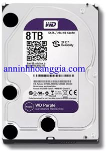 Ổ cứng HDD western 8TB